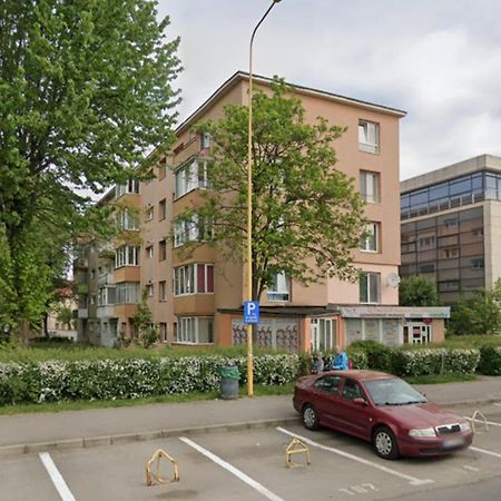 Lillia House Daire Braşov Dış mekan fotoğraf