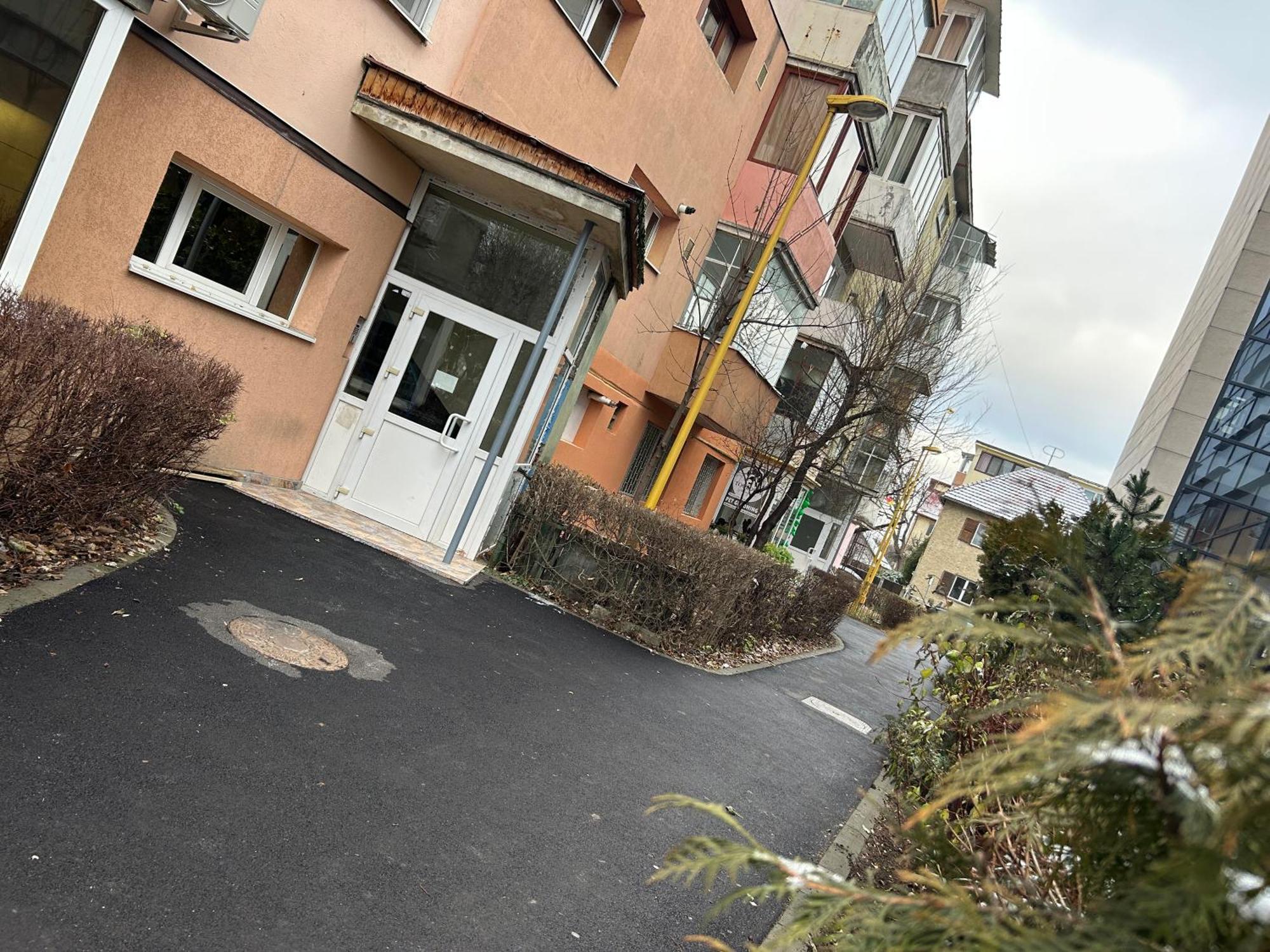 Lillia House Daire Braşov Dış mekan fotoğraf